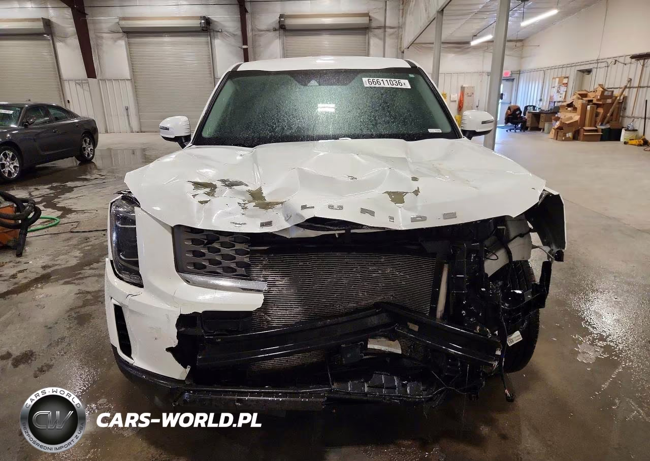 2020 Kia Telluride Lx VIN:5XYP24HC0LG058221 - 5