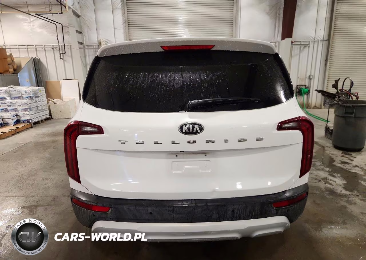 2020 Kia Telluride Lx VIN:5XYP24HC0LG058221 - 6