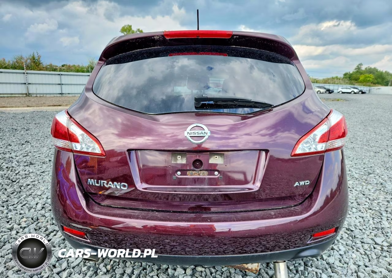 2013 Nissan Murano S VIN:JN8AZ1MW9DW309097 - 6
