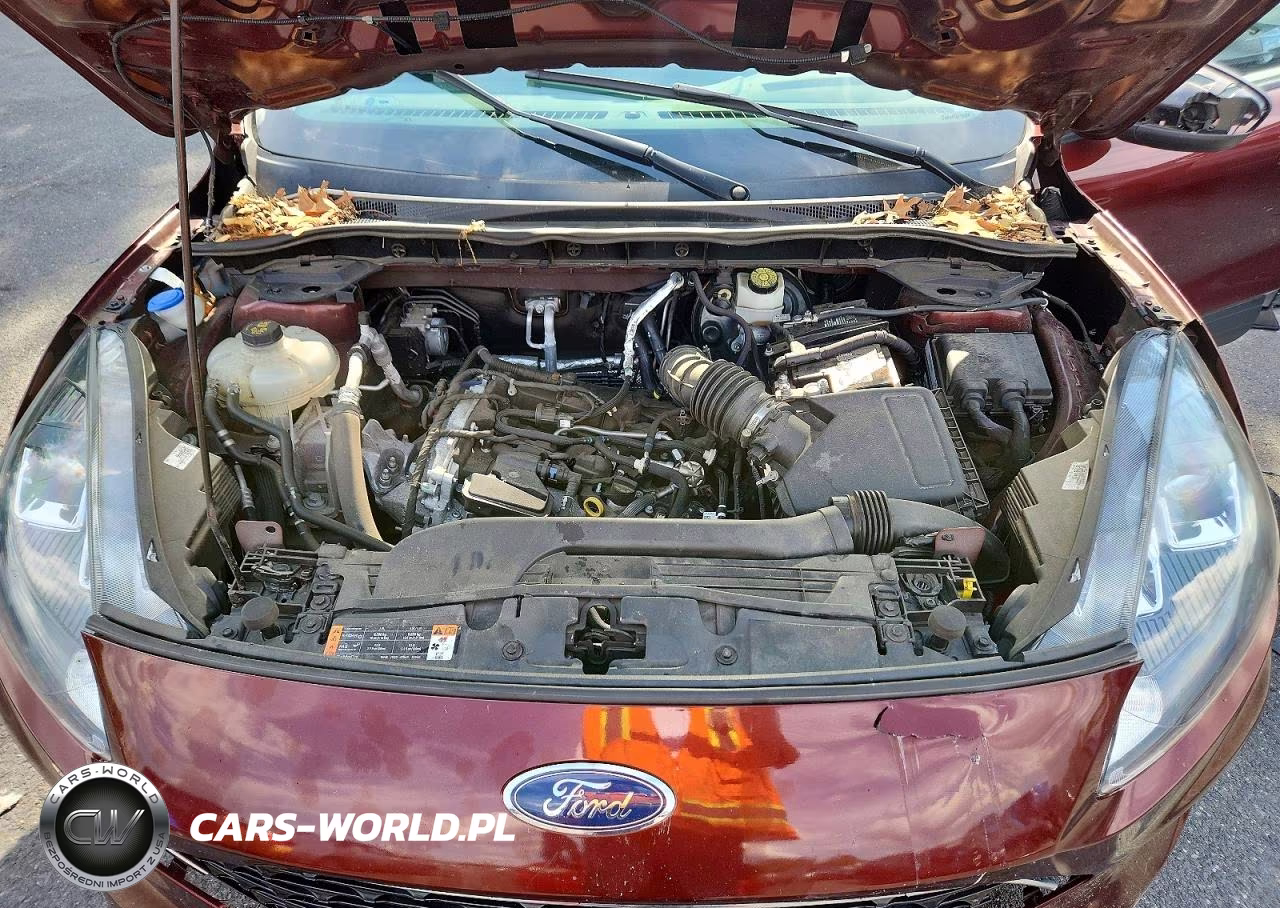 2021 Ford Escape Se VIN:1FMCU9G61MUA84047 - 11