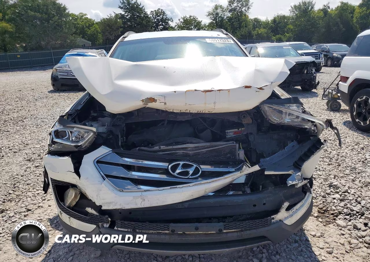2014 Hyundai Santa Fe Sport 2.4L VIN:5XYZUDLB3EG165994 - 5