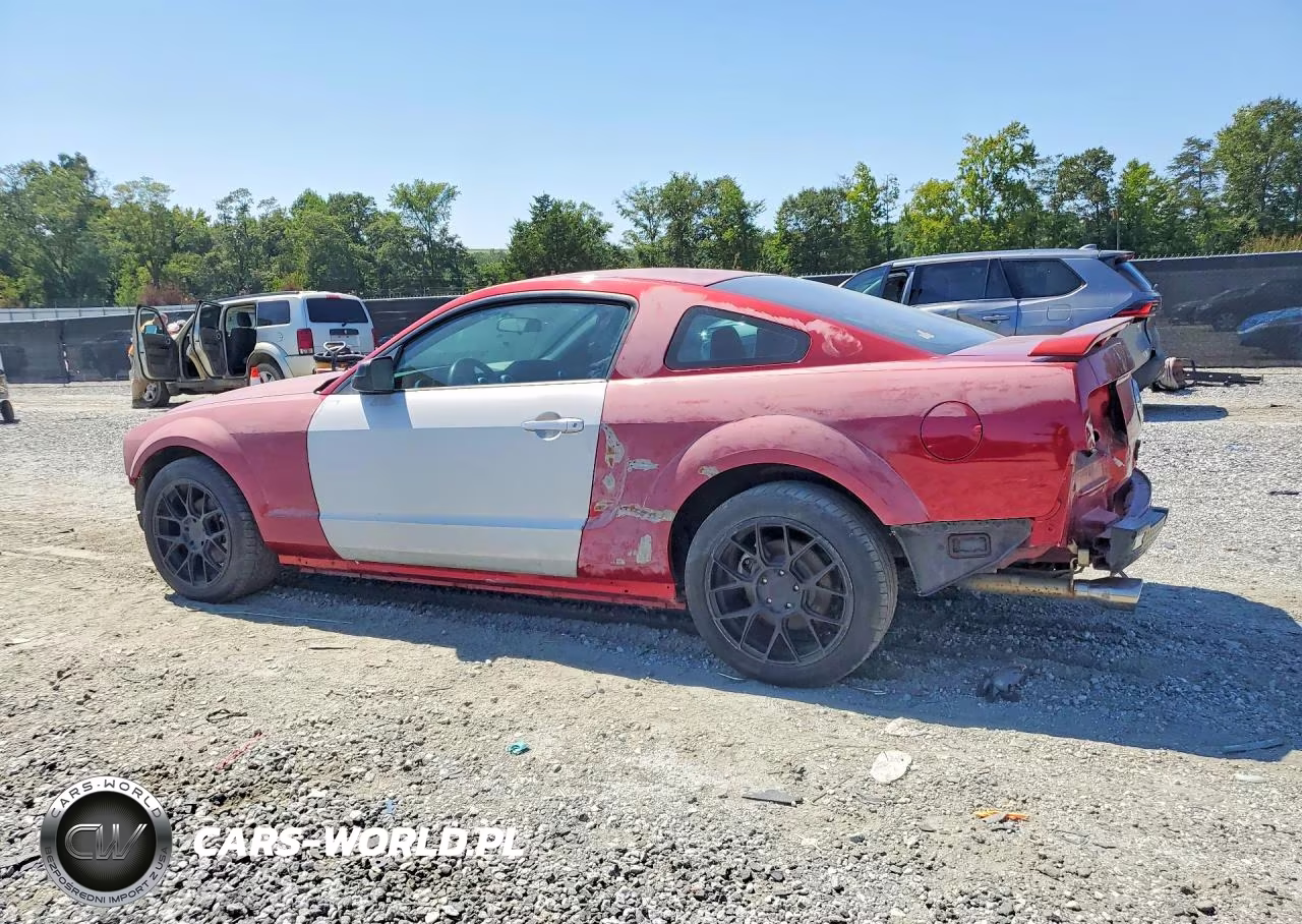 2005 Ford Mustang VIN:1ZVFT80N255144734 - 2