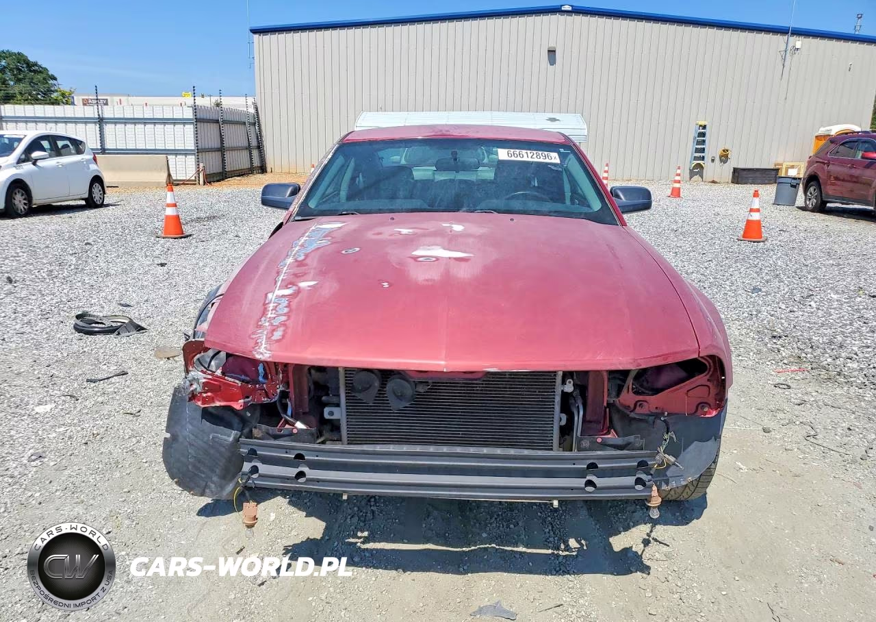 2005 Ford Mustang VIN:1ZVFT80N255144734 - 5