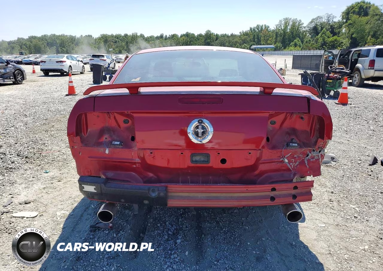 2005 Ford Mustang VIN:1ZVFT80N255144734 - 6