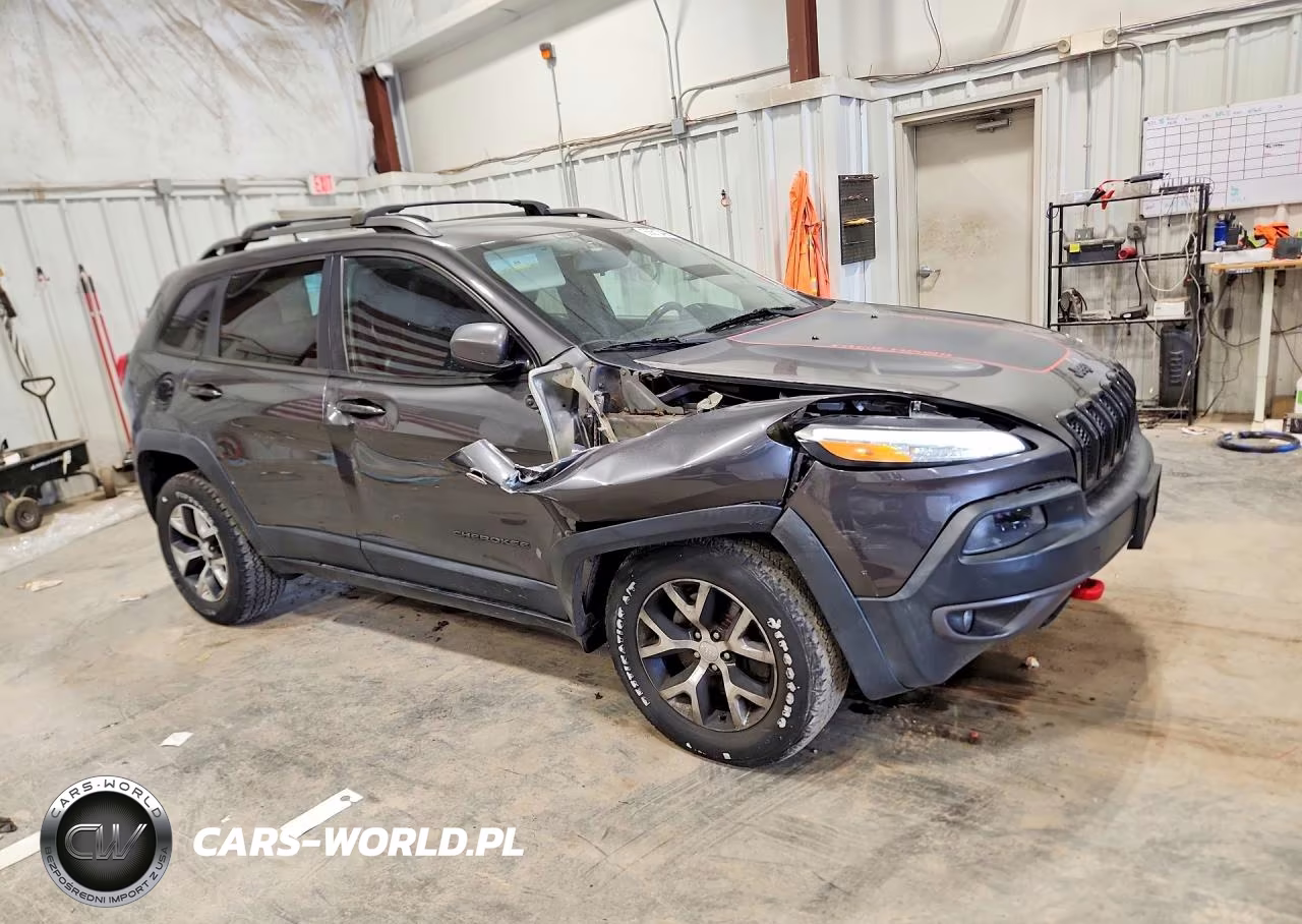 2016 Jeep Cherokee Trailhawk VIN:1C4PJMBS4GW318499 - 4