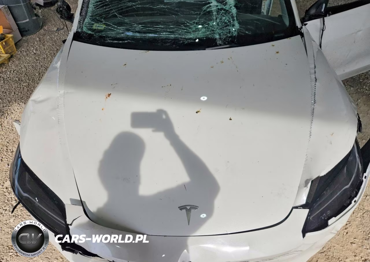 2025 Tesla Model 3 VIN:5YJ3E1EA6SF980196 - 12