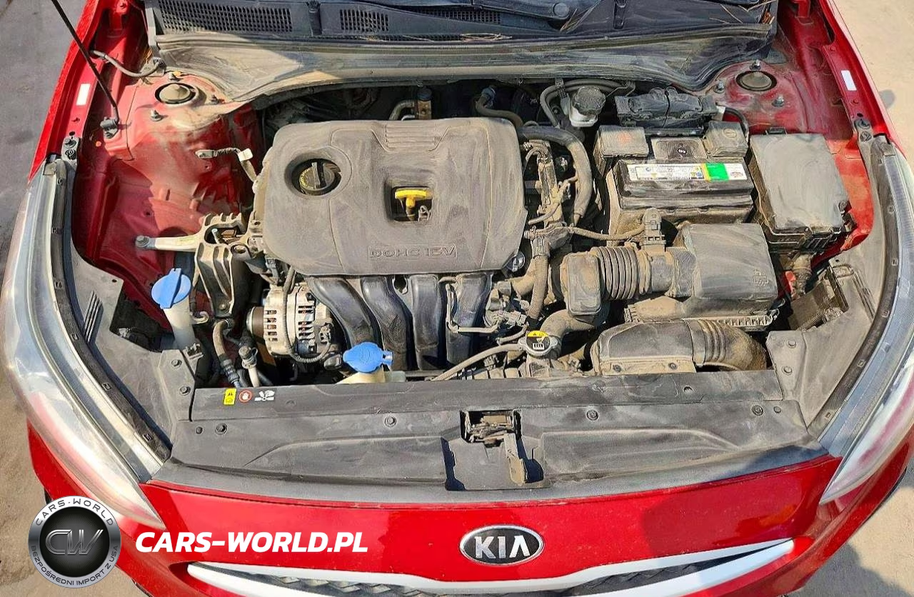 2019 Kia Forte Lxs VIN:3KPF24AD8KE077741 - 11