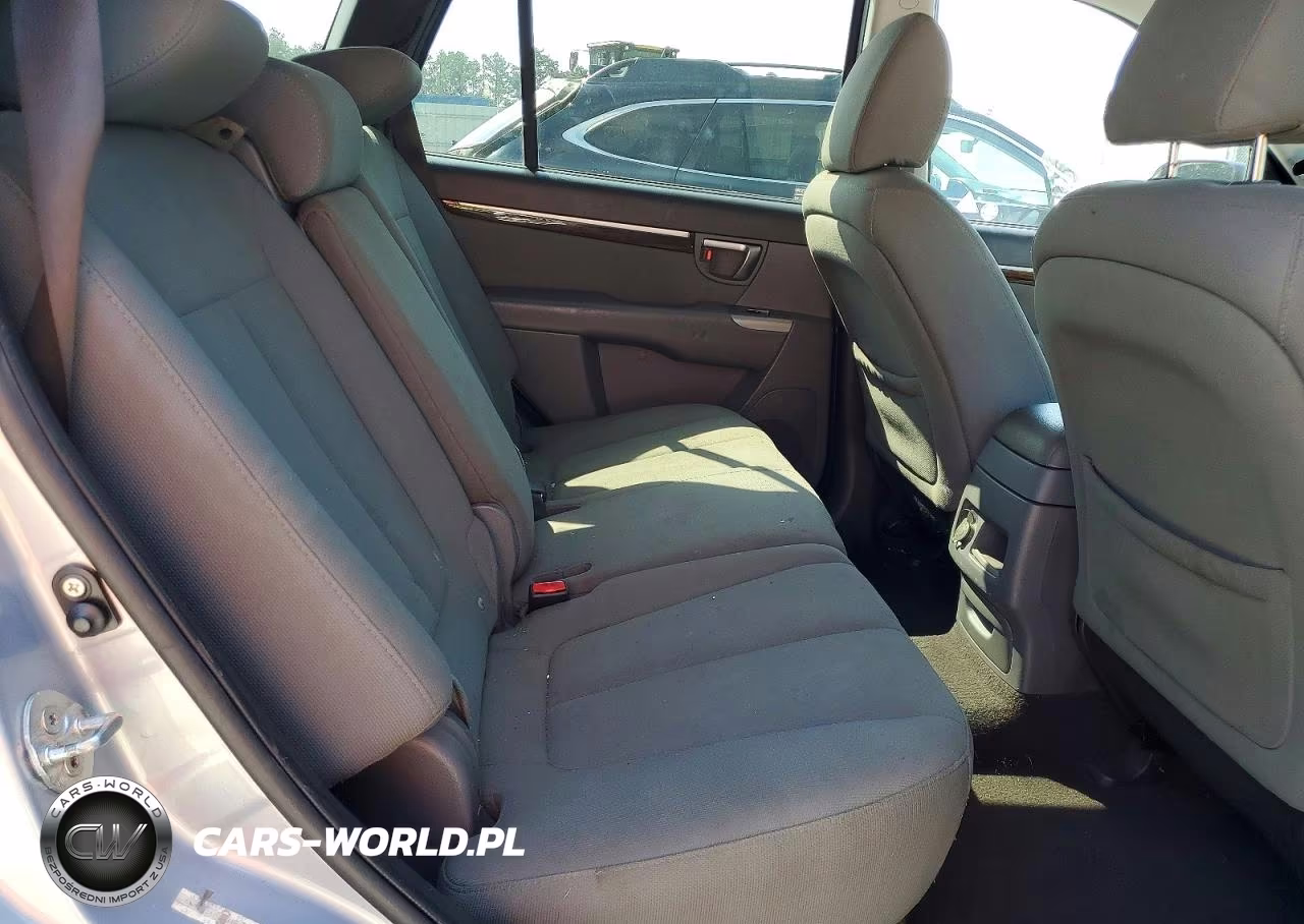 2010 Hyundai Santa Fe Gls VIN:5NMSG3AB2AH404196 - 11