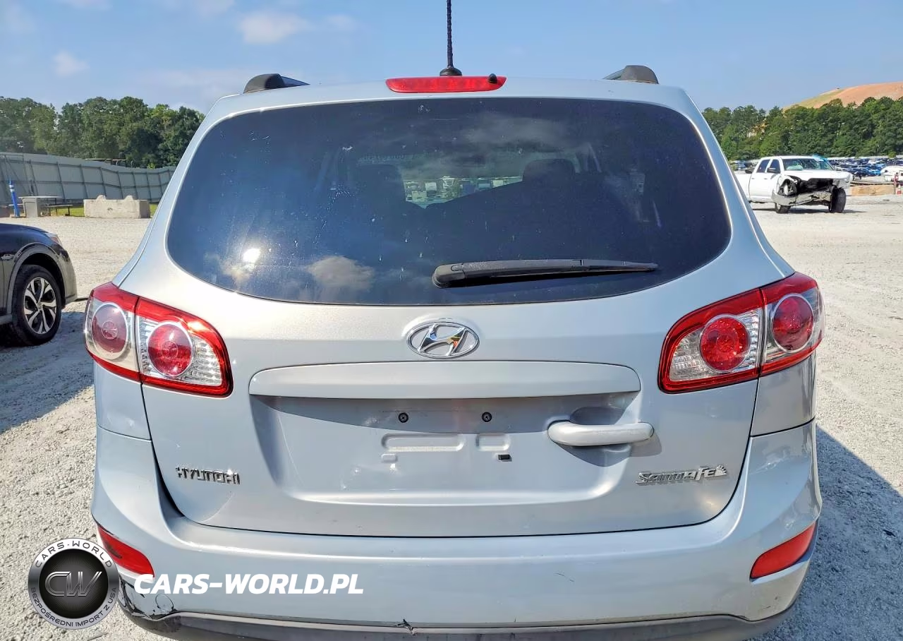 2010 Hyundai Santa Fe Gls VIN:5NMSG3AB2AH404196 - 6