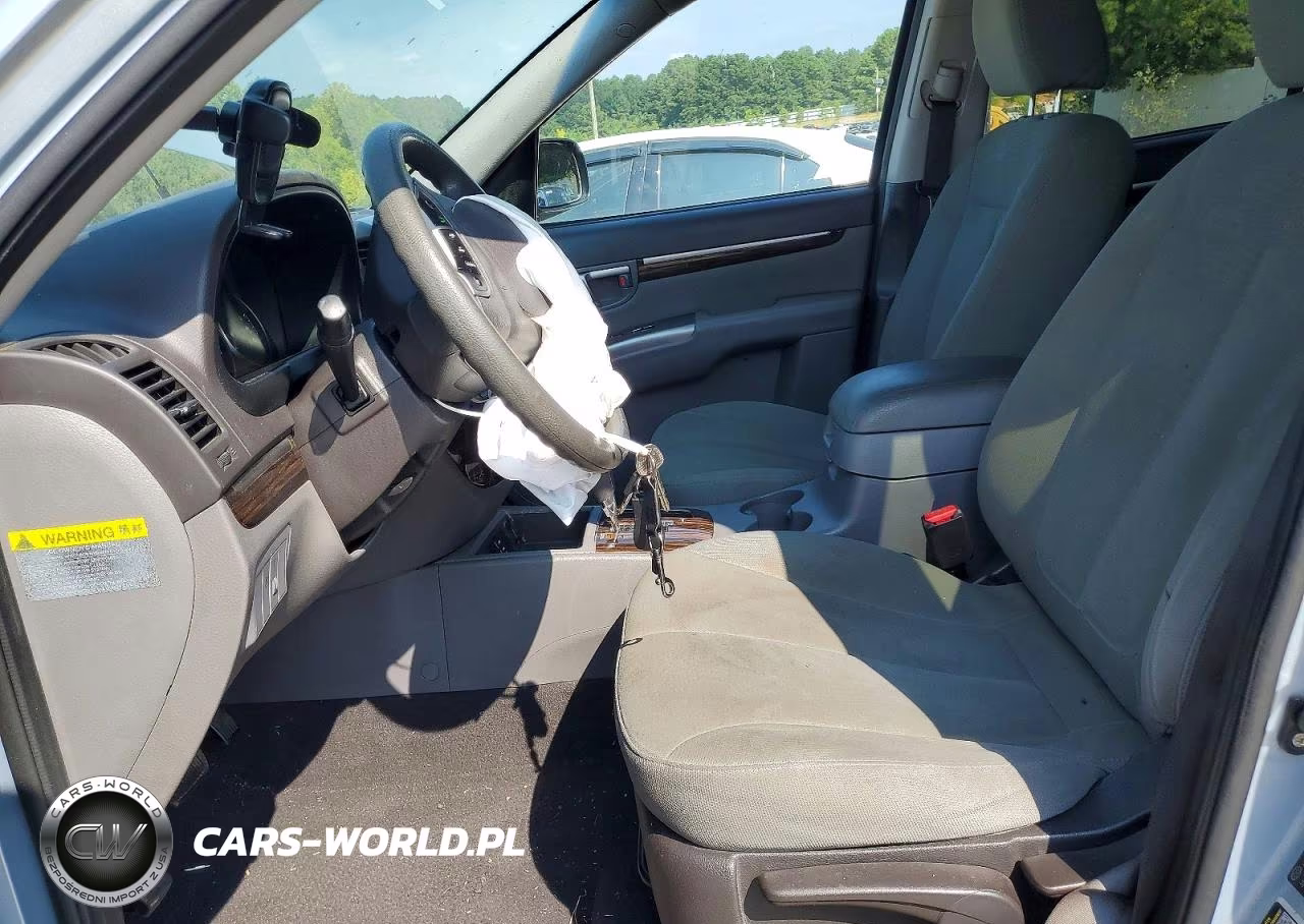 2010 Hyundai Santa Fe Gls VIN:5NMSG3AB2AH404196 - 7