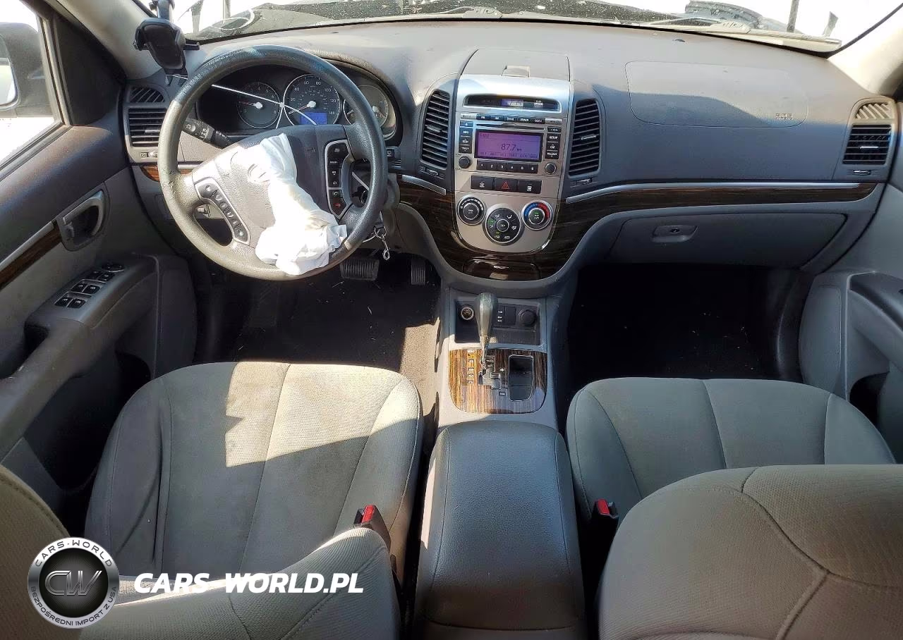 2010 Hyundai Santa Fe Gls VIN:5NMSG3AB2AH404196 - 8