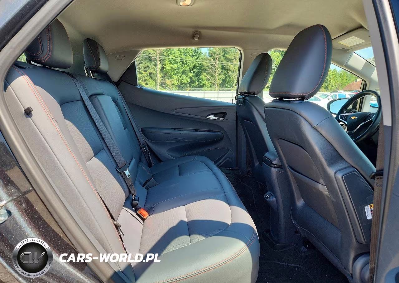 2020 Chevrolet Bolt Ev Premier VIN:1G1FZ6S04L4148643 - 10
