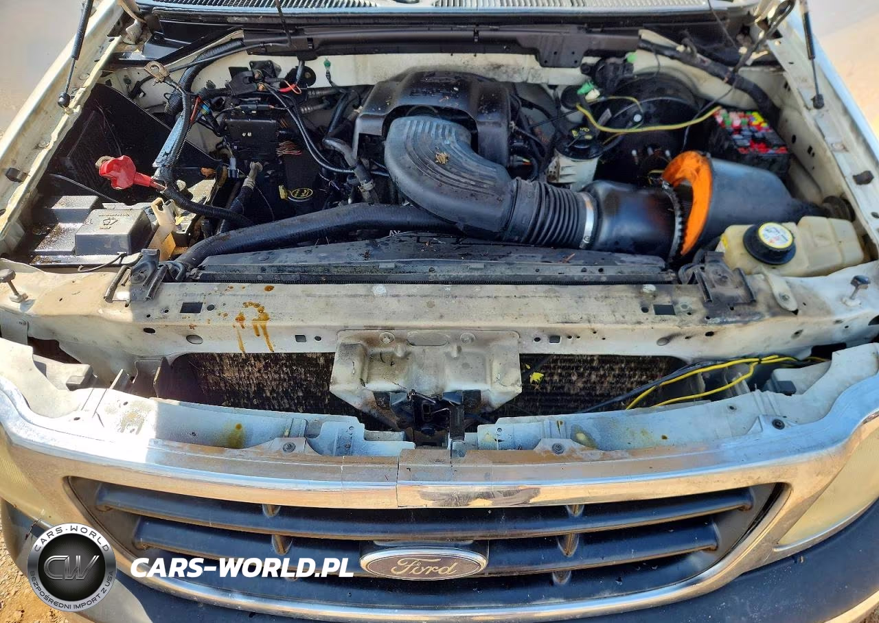2004 Ford F-150 Heritage Classic VIN:2FTRX17W34CA39053 - 11