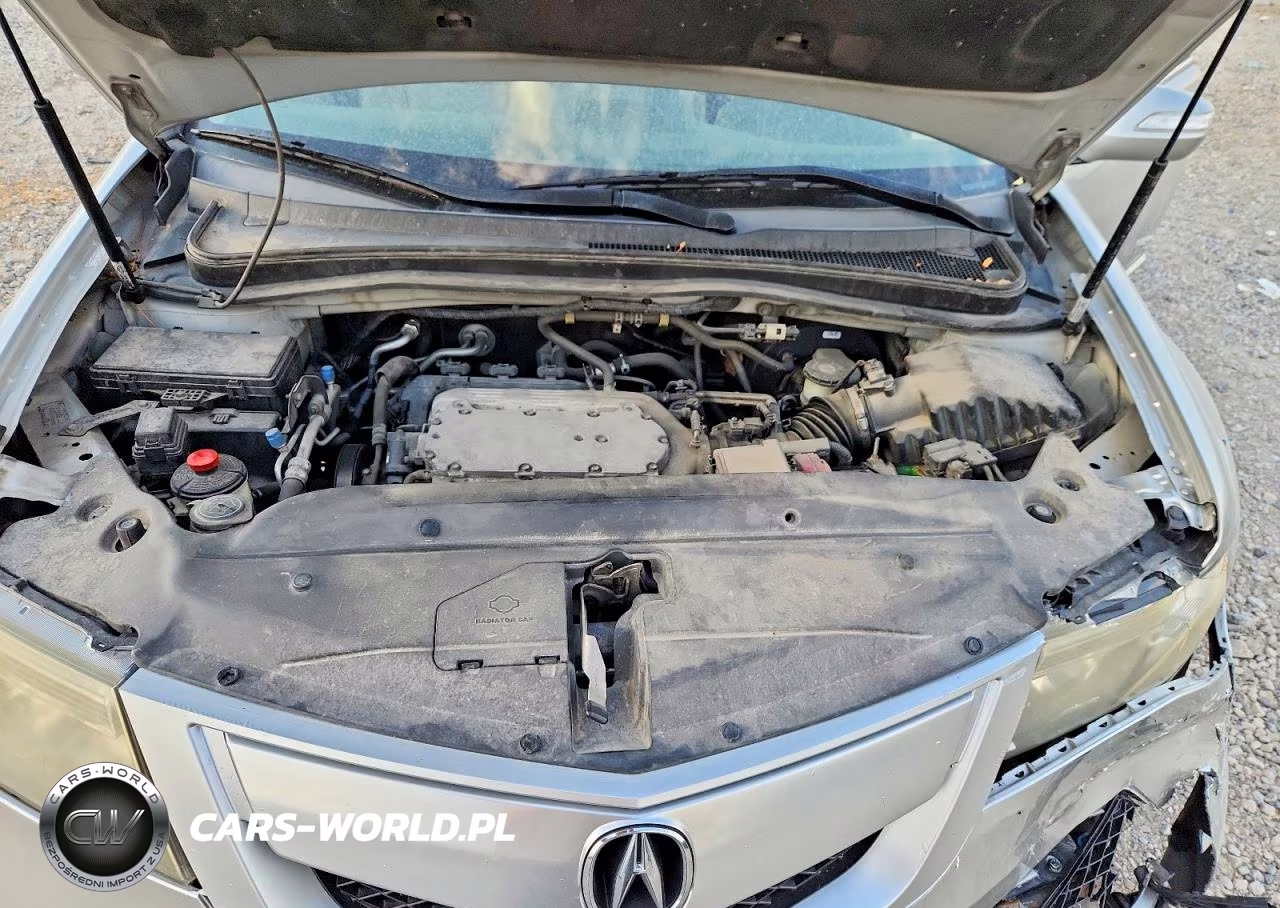 2010 Acura Mdx Advance VIN:2HNYD2H70AH500073 - 12