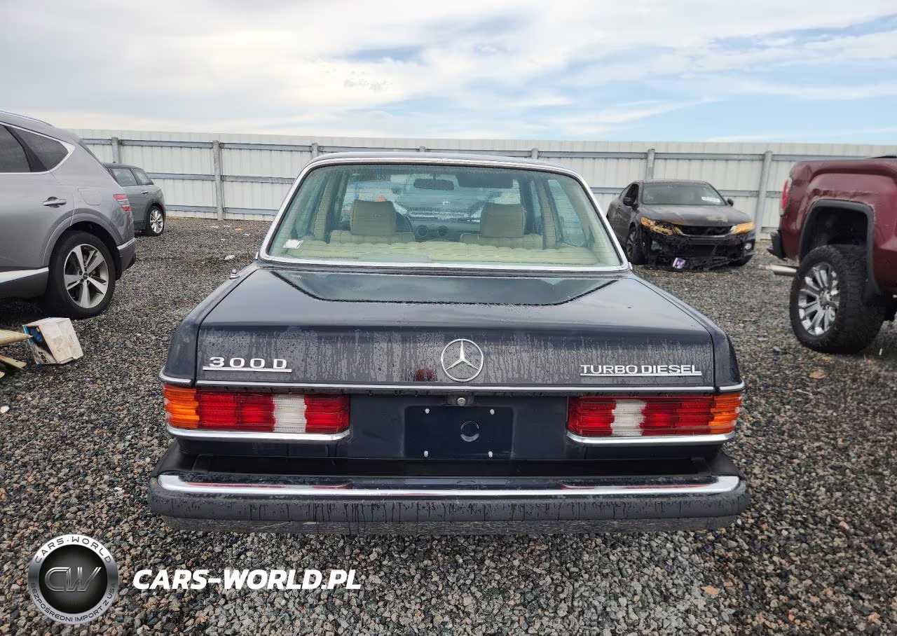 1983 Mercedes-Benz 300 Dt VIN:WDBAB33A8DB018940 - 6