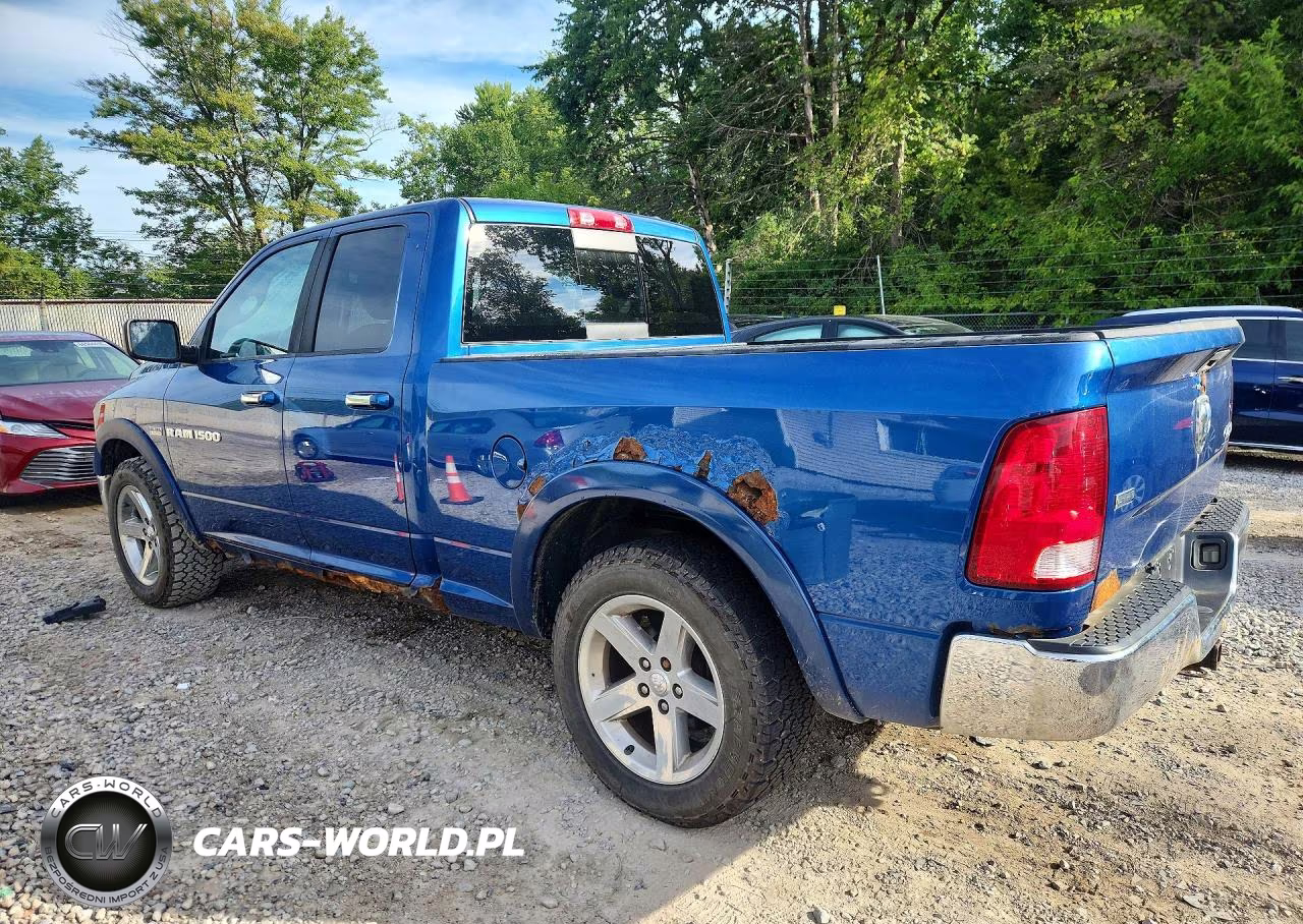 2011 Dodge Ram 1500 VIN:1D7RV1GT7BS613258 - 2