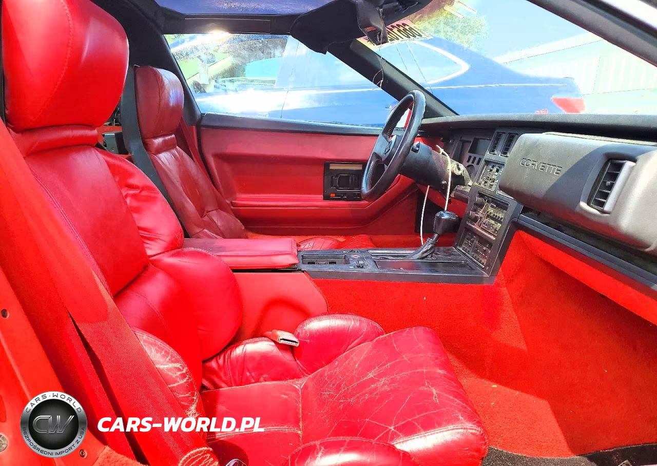 1989 Chevrolet Corvette VIN:1G1YY2184K5105523 - 10