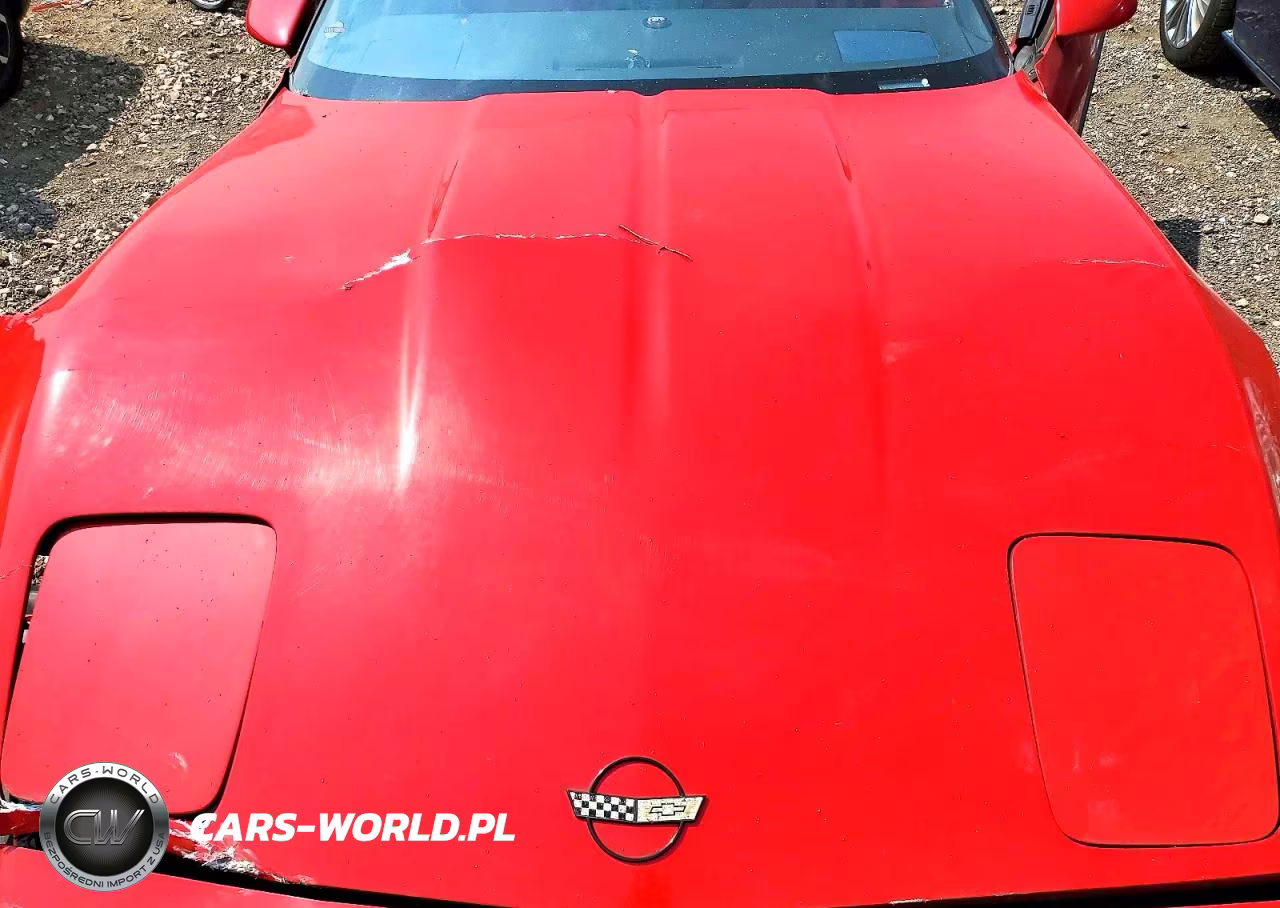 1989 Chevrolet Corvette VIN:1G1YY2184K5105523 - 11