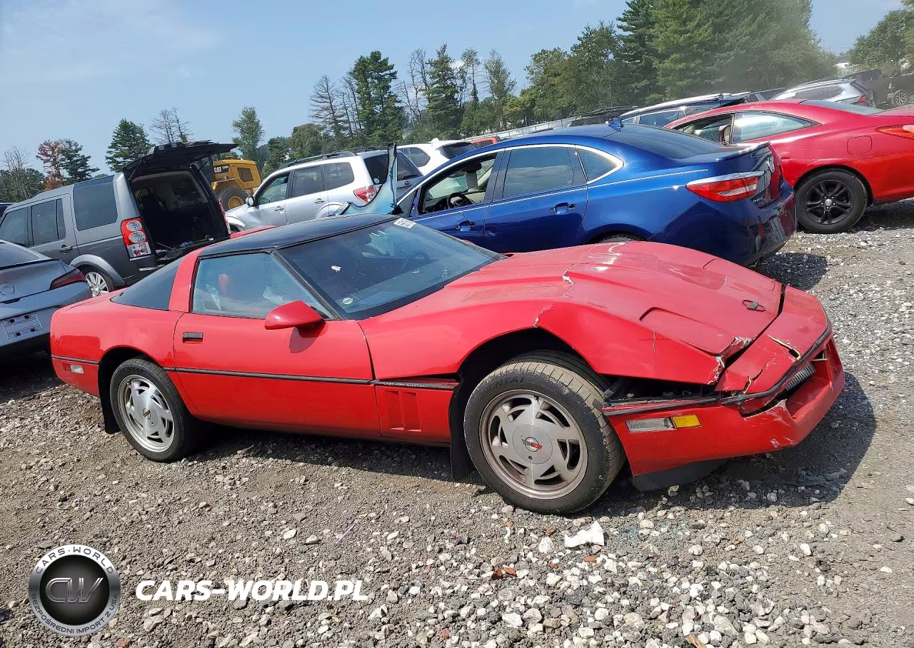 1989 Chevrolet Corvette VIN:1G1YY2184K5105523 - 4