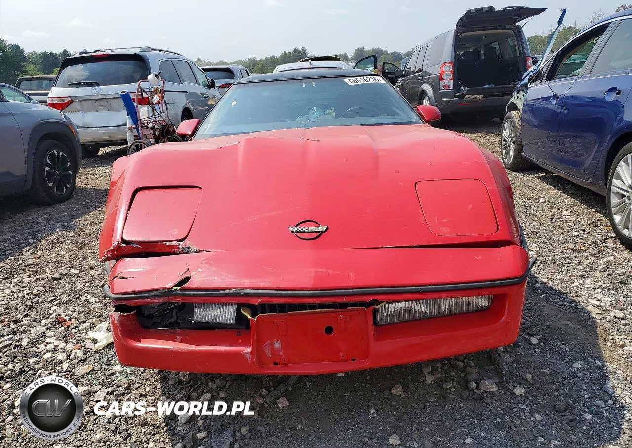 1989 Chevrolet Corvette VIN:1G1YY2184K5105523 - 5