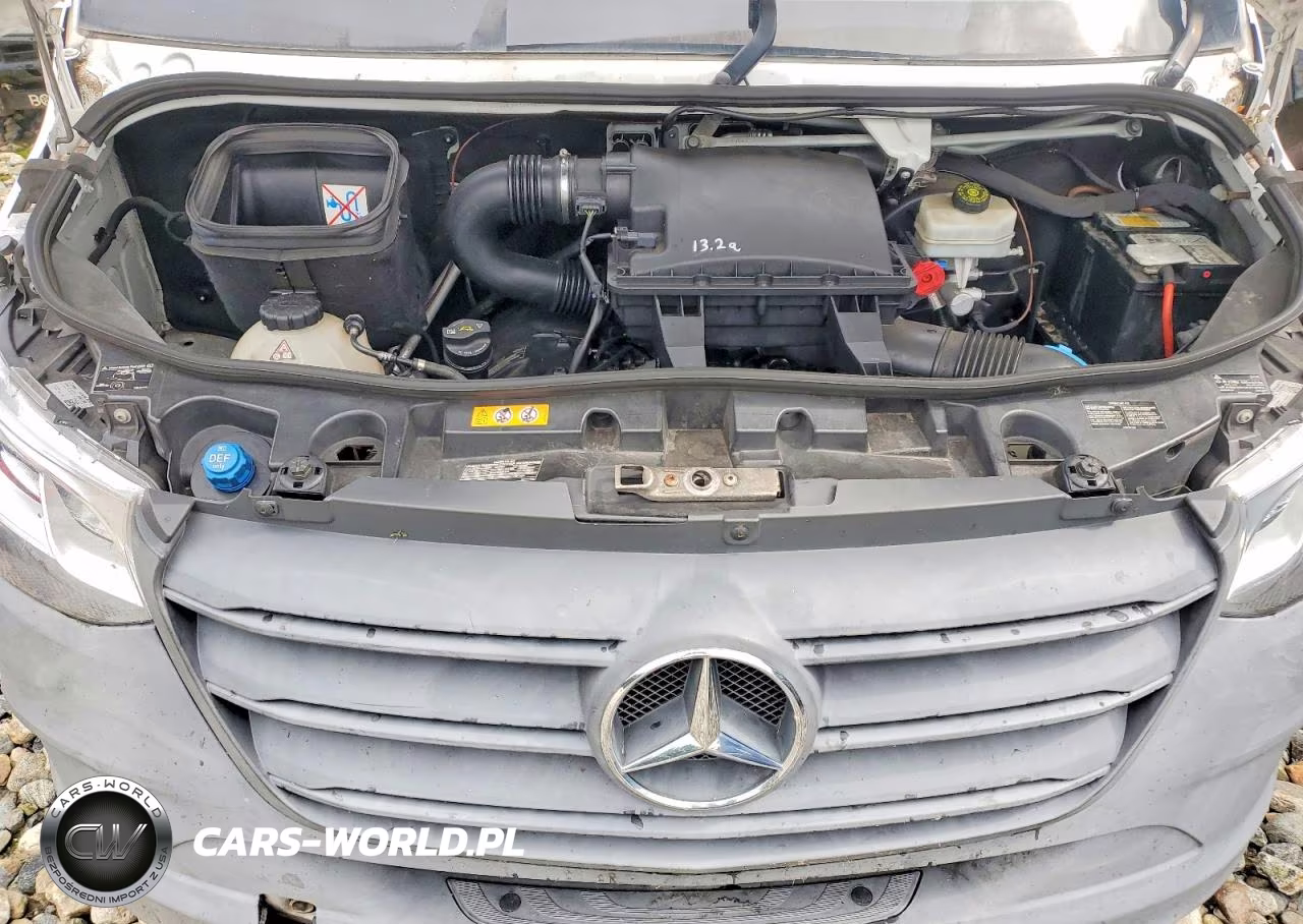 2019 Mercedes-Benz Sprinter 3500-4500 VIN:WD3PF3CD4KT007896 - 12