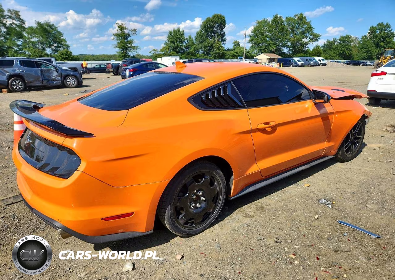 2020 Ford Mustang Cobra Gt VIN:1FA6P8TH5L5170597 - 3