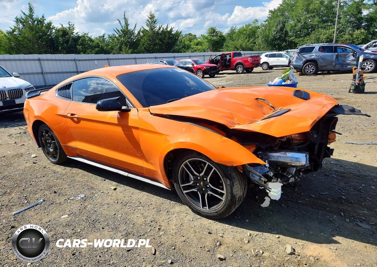 2020 Ford Mustang Cobra Gt VIN:1FA6P8TH5L5170597 - 4