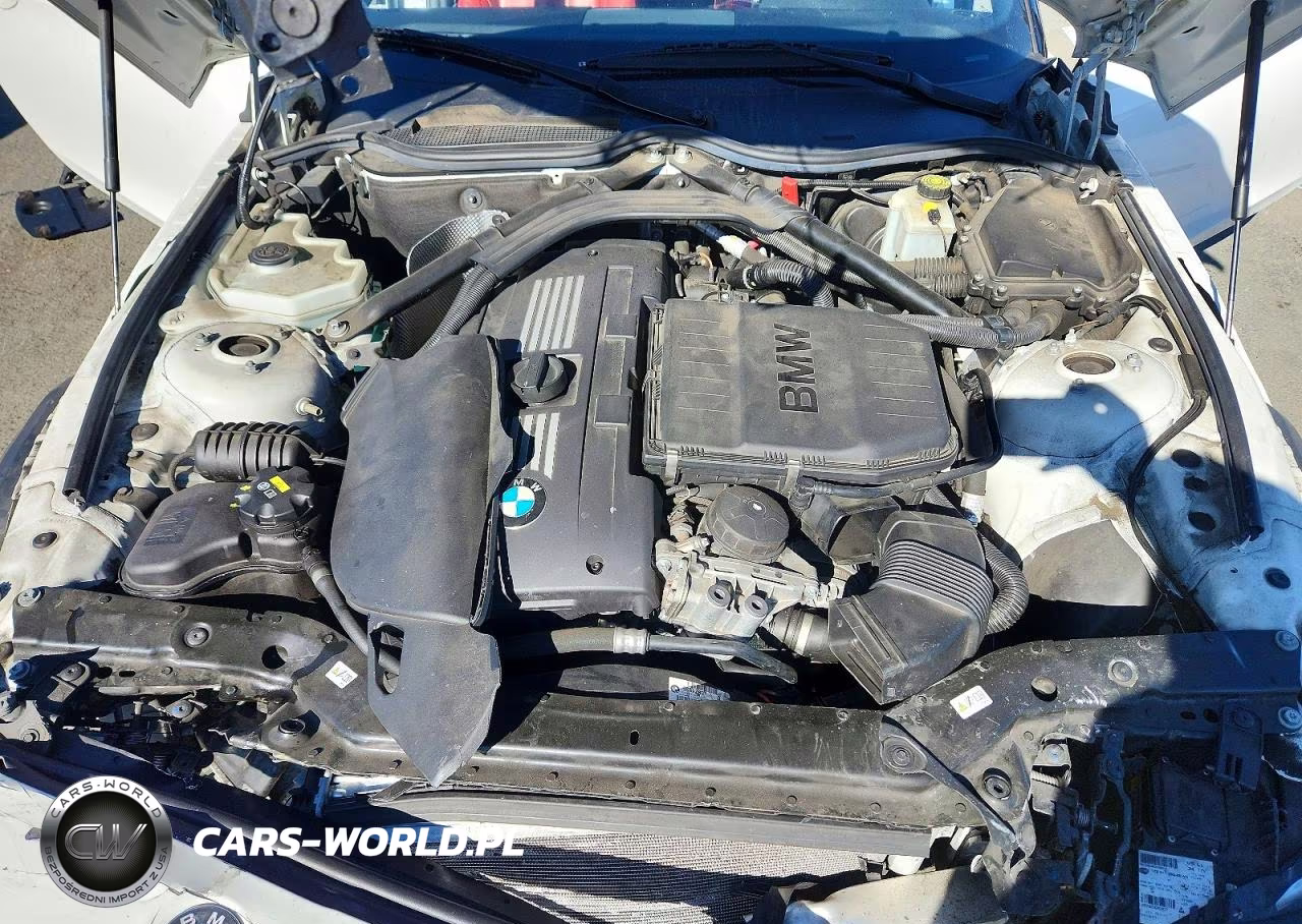 2016 BMW Z4 Sdrive35Is VIN:WBALM1C52GE634936 - 11