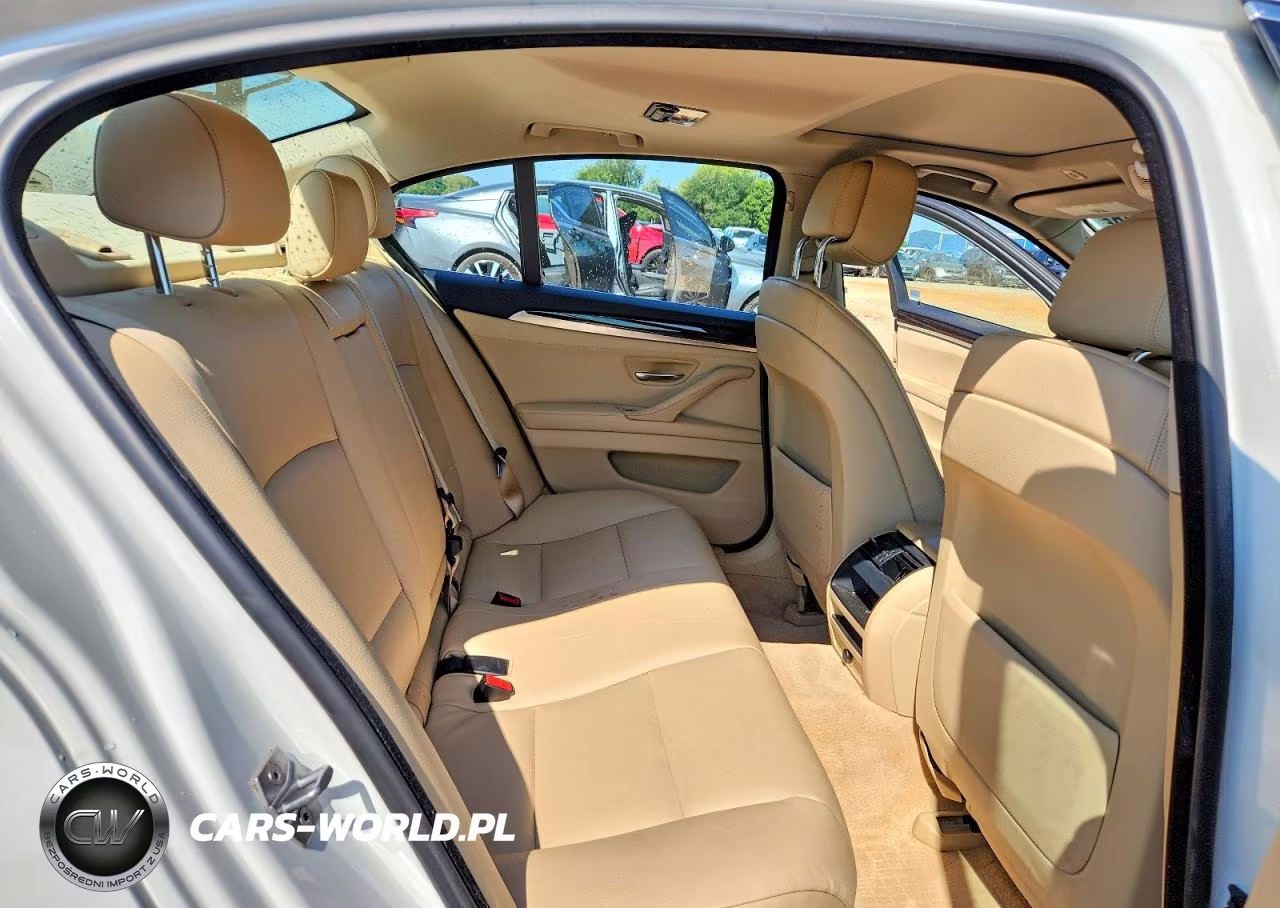 2013 BMW 528 I VIN:WBAXG5C51DD229300 - 10
