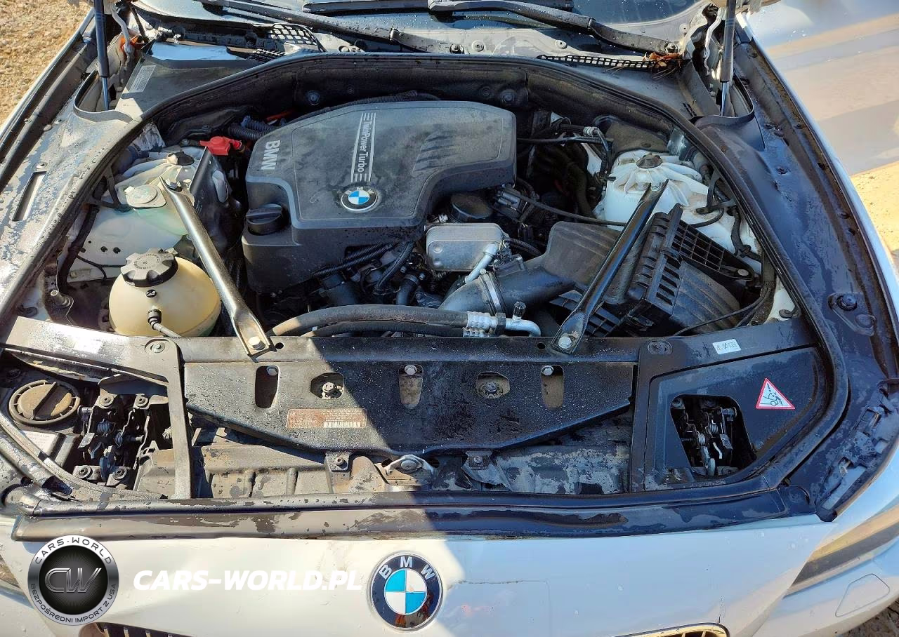 2013 BMW 528 I VIN:WBAXG5C51DD229300 - 11