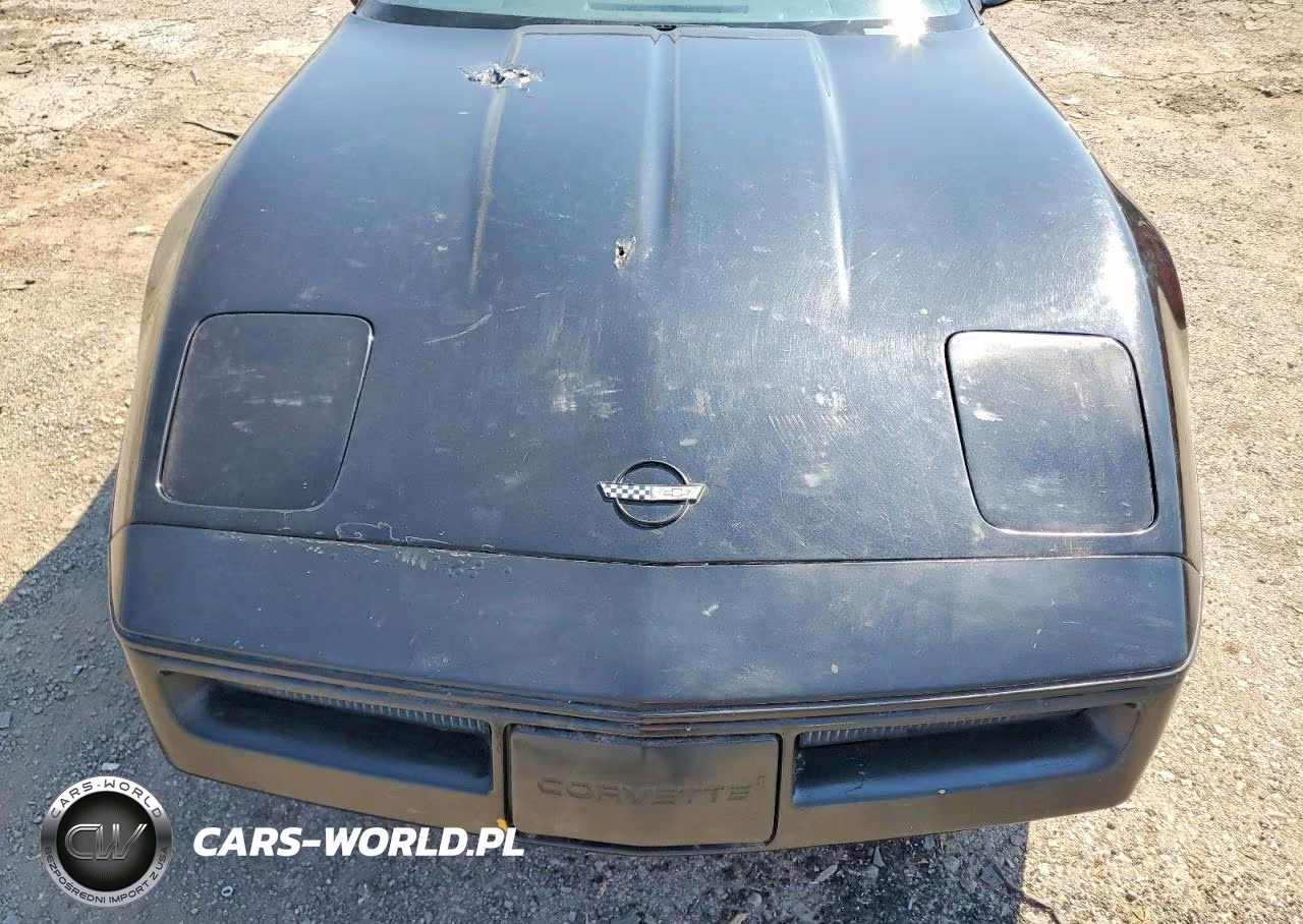 1987 Chevrolet Corvette VIN:1G1YY318XH5115357 - 11