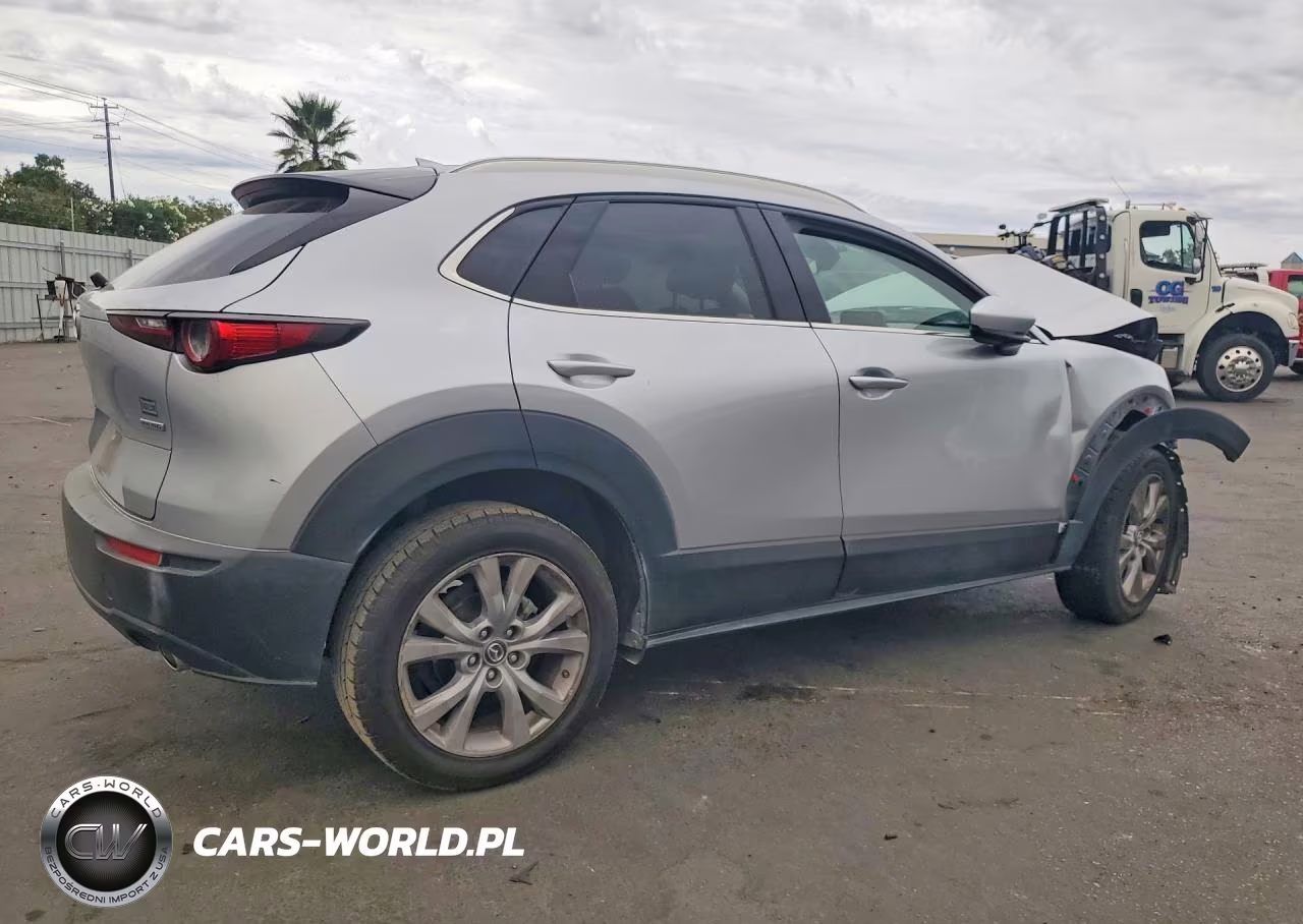 2021 Mazda Cx-30 Premium VIN:3MVDMADMXMM227478 - 3