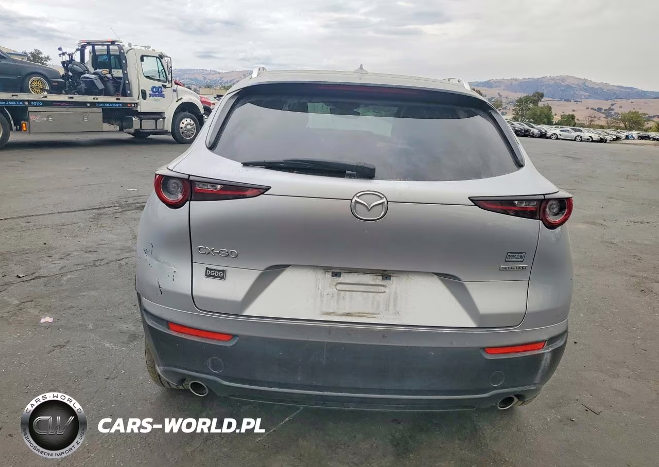 2021 Mazda Cx-30 Premium VIN:3MVDMADMXMM227478 - 6