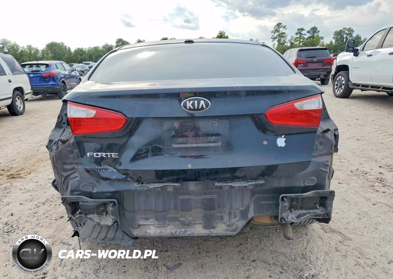 KIA FORTE VIN:KNAFK4A67E5248526 - 6