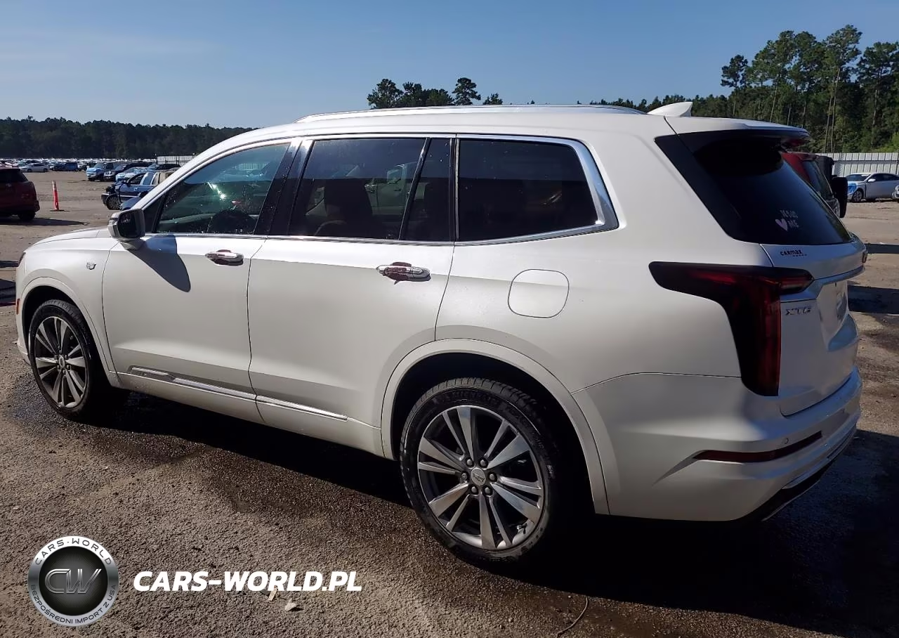 2020 Cadillac Xt6 Premium Luxury VIN:1GYKPCRS6LZ188768 - 2