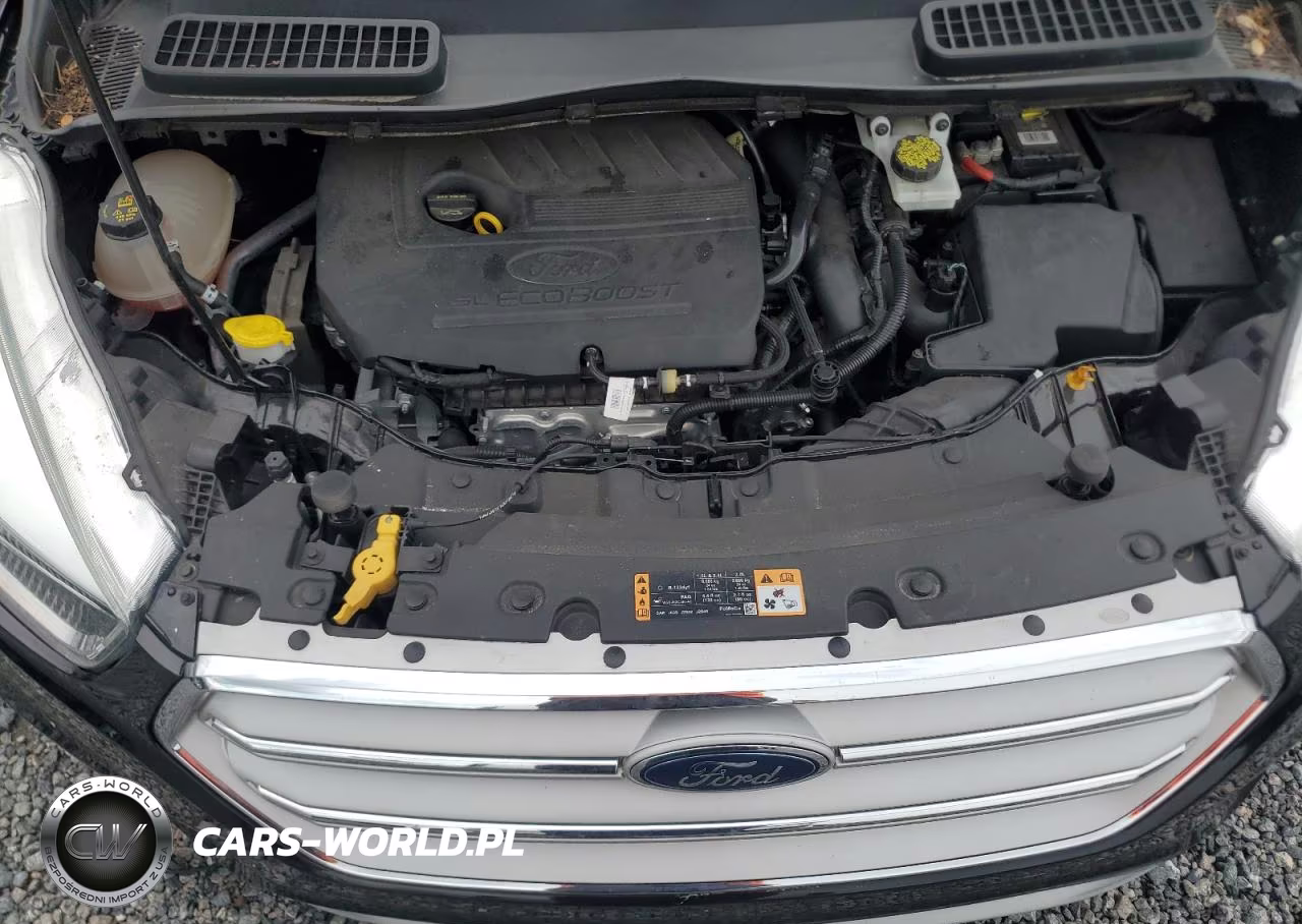 2018 Ford Escape Se VIN:1FMCU0GD5JUA79617 - 12