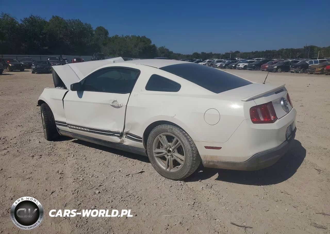 2010 Ford Mustang VIN:1ZVBP8AN4A5171056 - 2