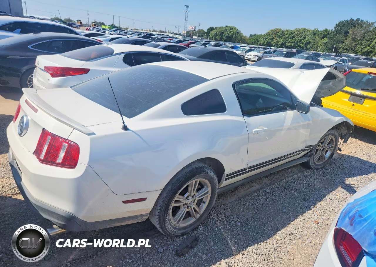 2010 Ford Mustang VIN:1ZVBP8AN4A5171056 - 3