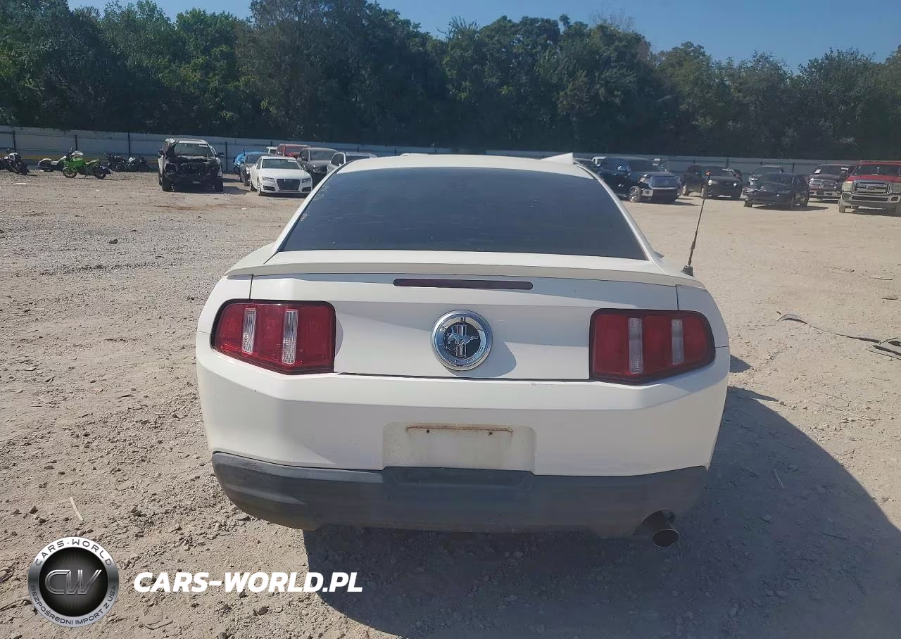 2010 Ford Mustang VIN:1ZVBP8AN4A5171056 - 6