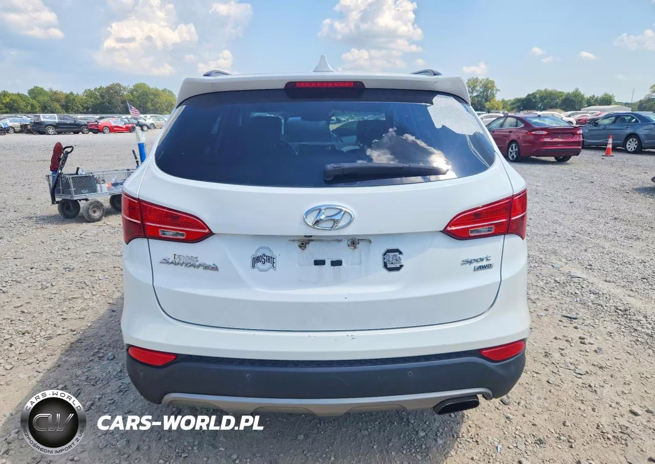 2014 Hyundai Santa Fe Sport 2.4L VIN:5XYZUDLB0EG136727 - 6
