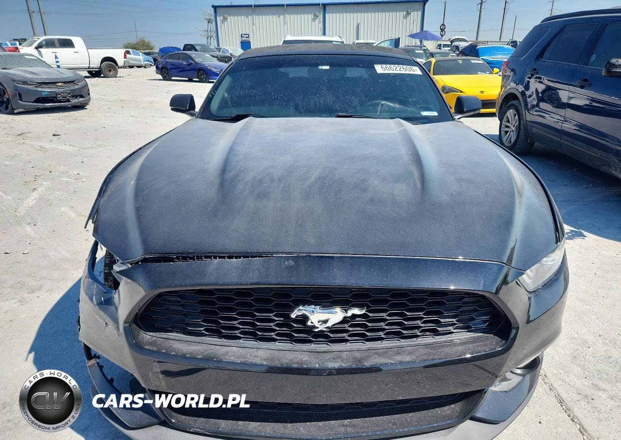 2017 Ford Mustang VIN:1FATP8UH7H5294993 - 5