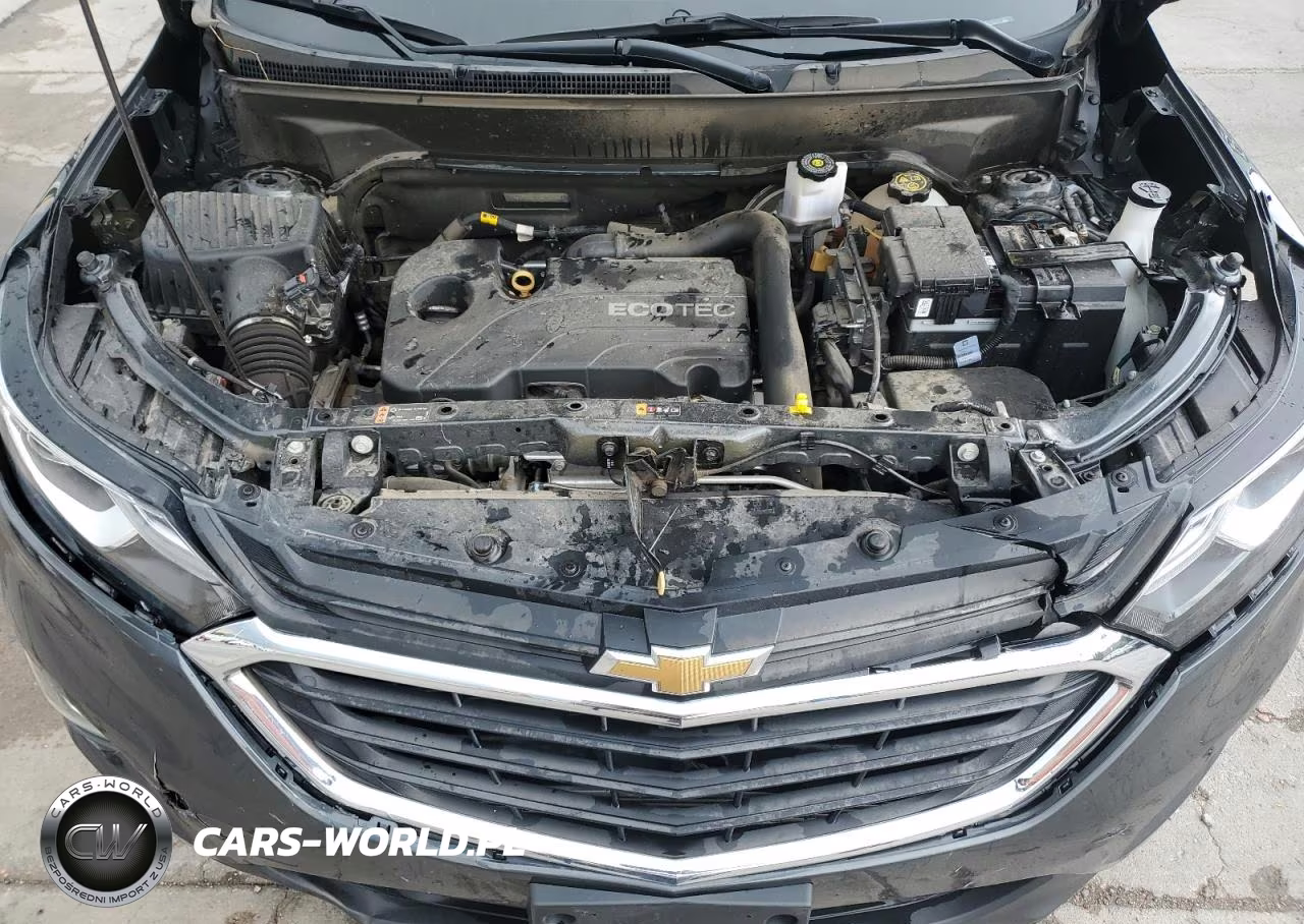 2021 Chevrolet Equinox Ls VIN:2GNAXSEV5M6106996 - 12