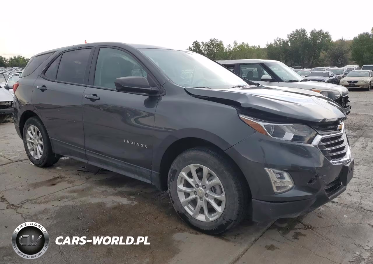 2021 Chevrolet Equinox Ls VIN:2GNAXSEV5M6106996 - 4