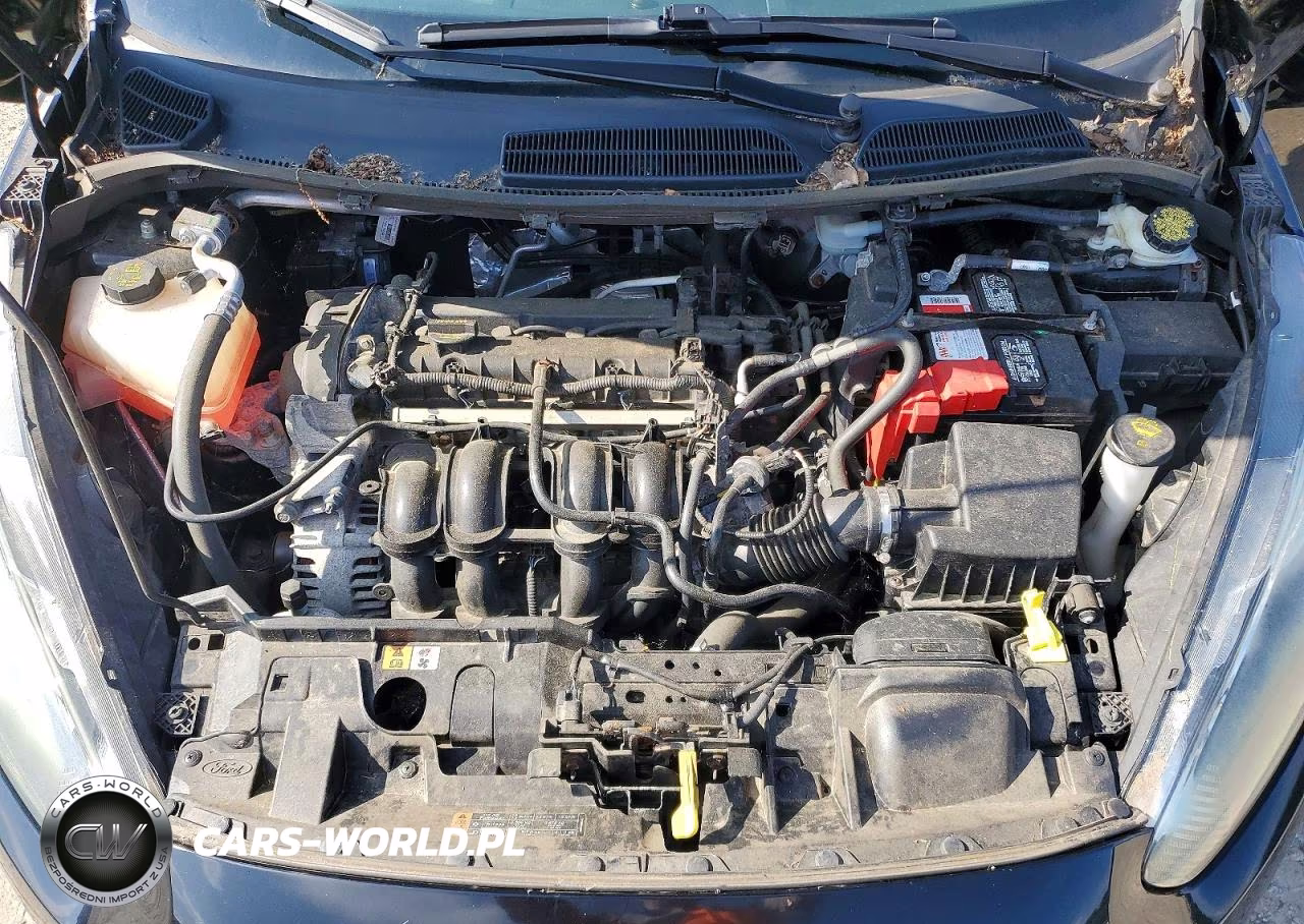 2016 Ford Fiesta Se VIN:3FADP4BJ1GM122955 - 11