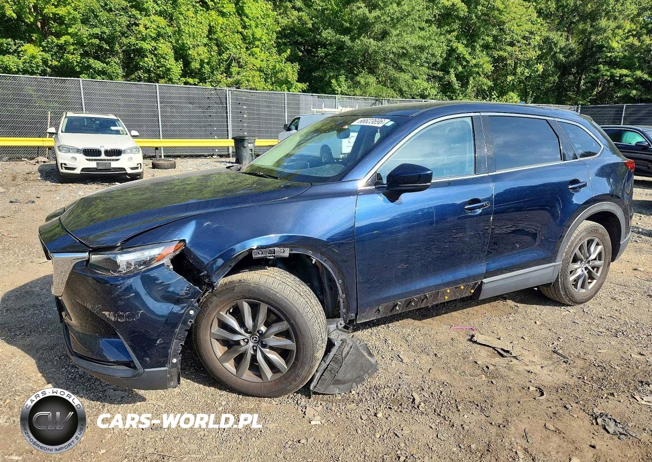2020 Mazda Cx-9 Touring VIN:JM3TCBCY4L0418591 - 1