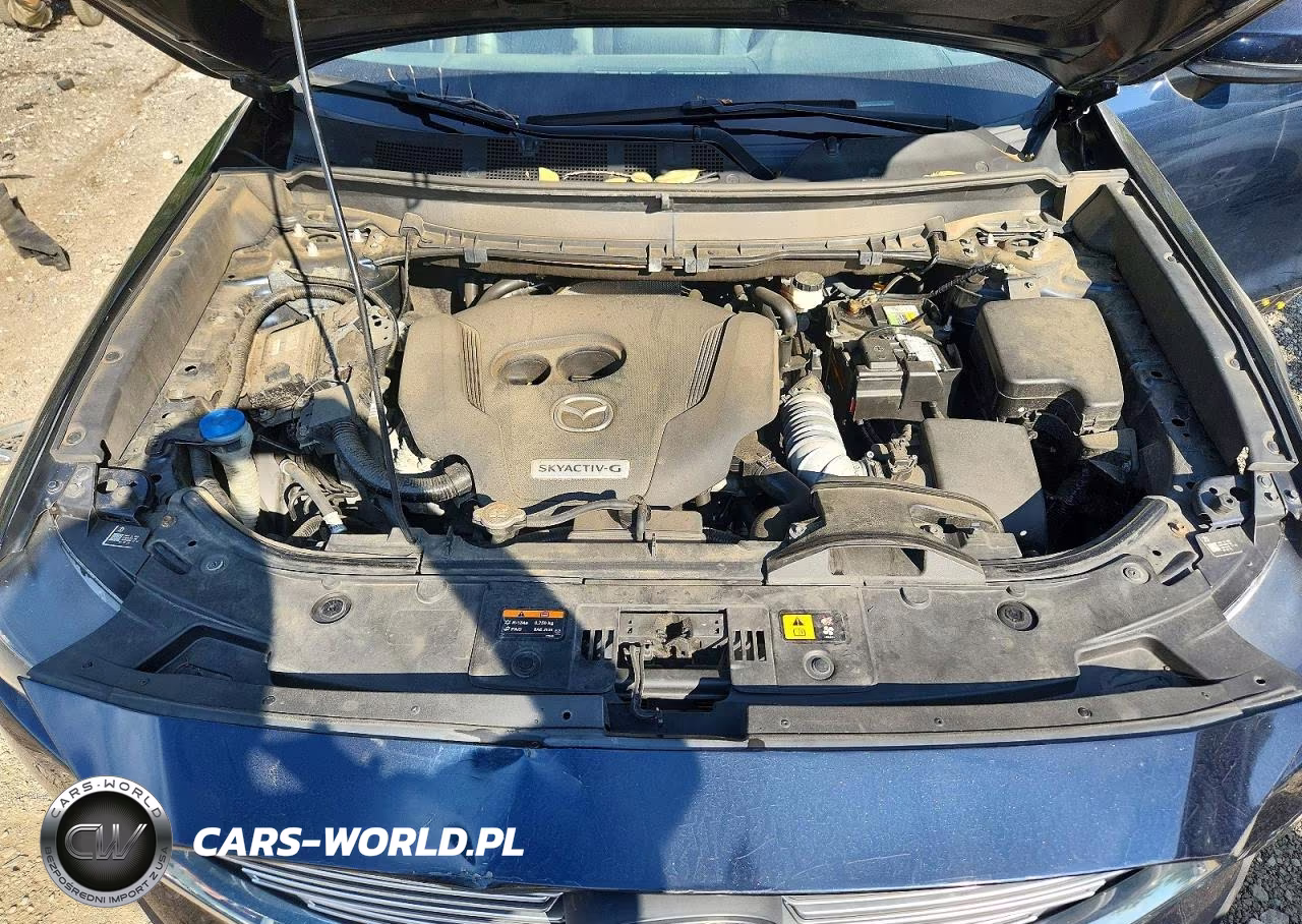 2020 Mazda Cx-9 Touring VIN:JM3TCBCY4L0418591 - 12