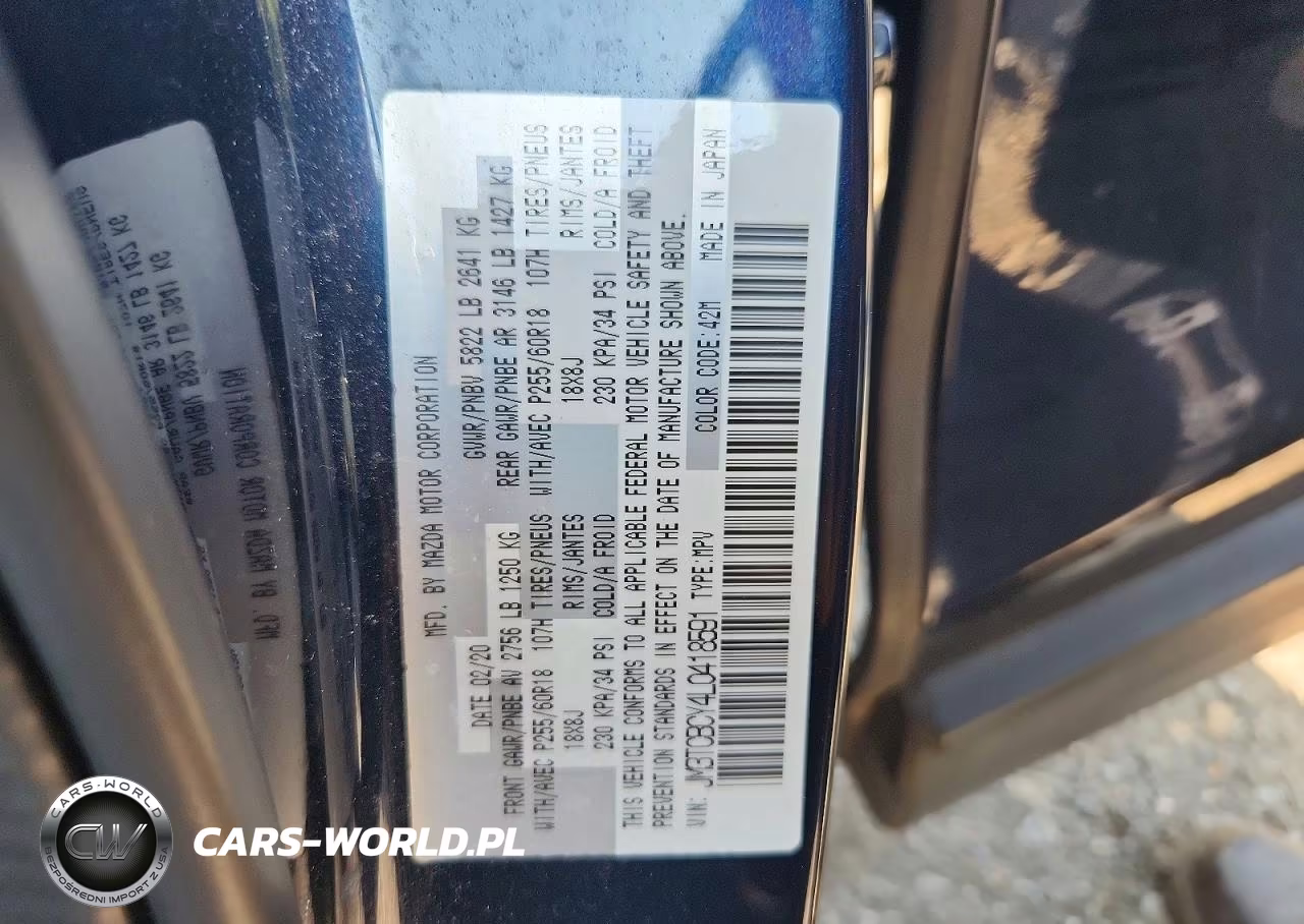 2020 Mazda Cx-9 Touring VIN:JM3TCBCY4L0418591 - 13