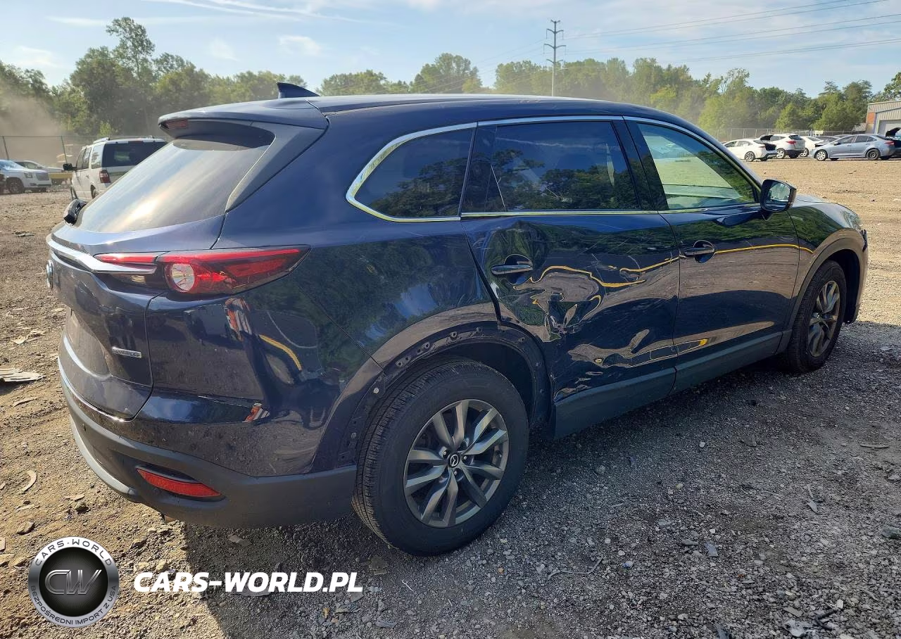 2020 Mazda Cx-9 Touring VIN:JM3TCBCY4L0418591 - 3