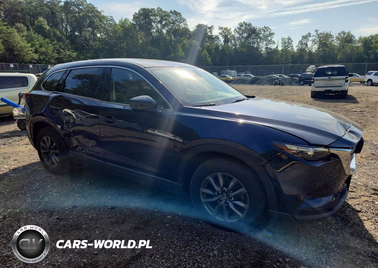 2020 Mazda Cx-9 Touring VIN:JM3TCBCY4L0418591 - 4