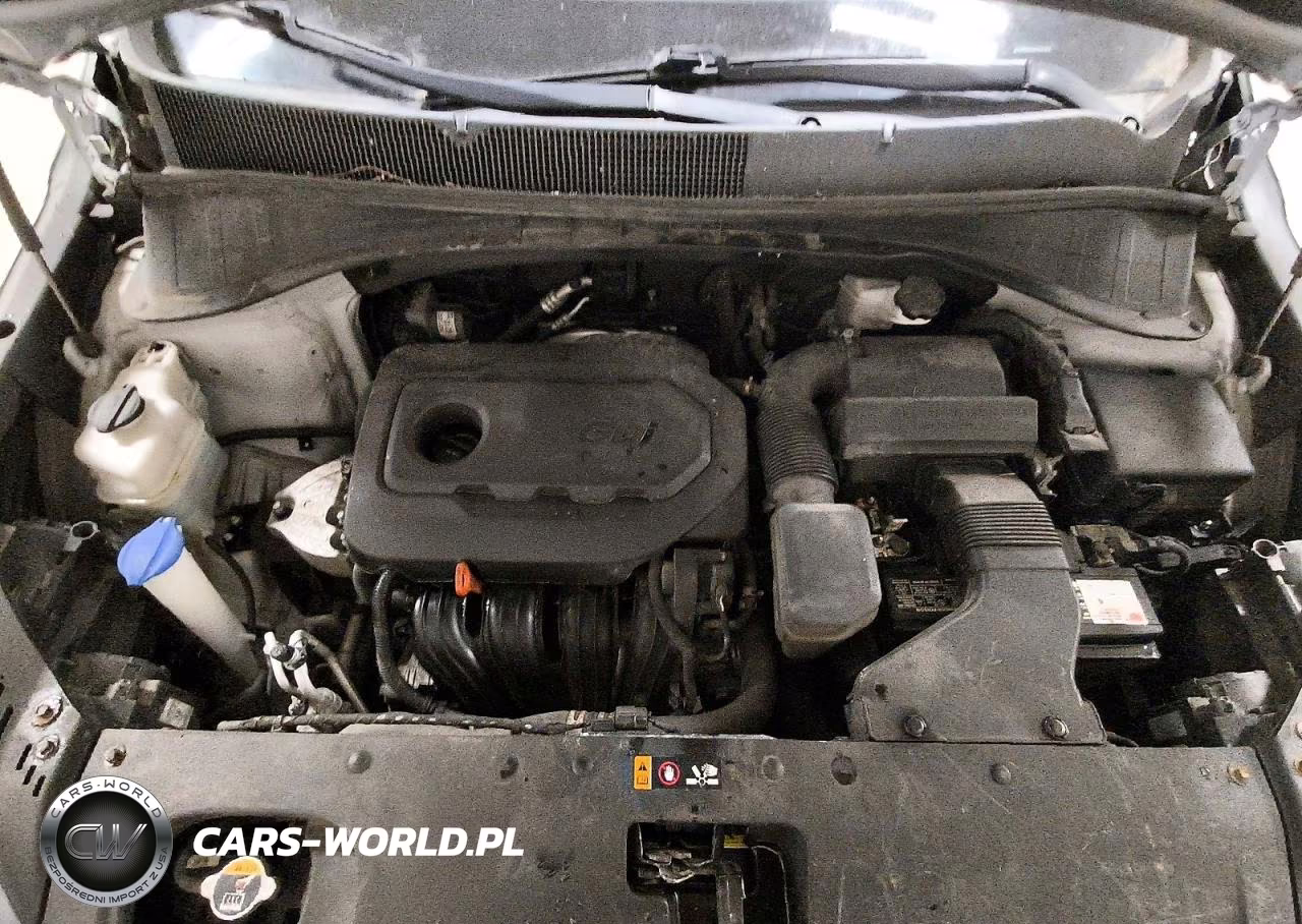 2019 Kia Sorento Lx VIN:5XYPGDA38KG561053 - 12